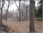 foto Central Park in Inverno